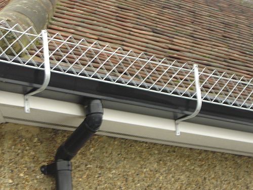 Front Fix Snowguard large web.jpg